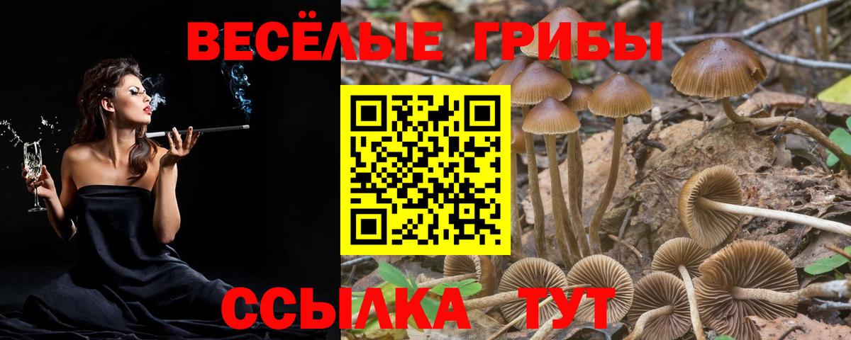 Псилоцибиновые грибы Psilocybe  Вход с VPN  Галлюциногенные грибы MAGIC MUSHROOMS  Красноярск 
